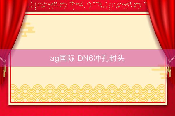 ag国际 DN6冲孔封头