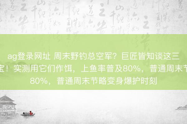 ag登录网址 周末野钓总空军？巨匠皆知谈这三款鱼饵是避坑法宝！实测用它们作饵，上鱼率普及80%，普通周末节略变身爆护时刻