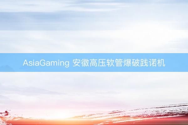 AsiaGaming 安徽高压软管爆破践诺机