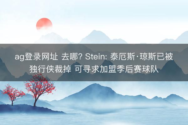 ag登录网址 去哪? Stein: 泰厄斯·琼斯已被独行侠裁掉 可寻求加盟季后赛球队