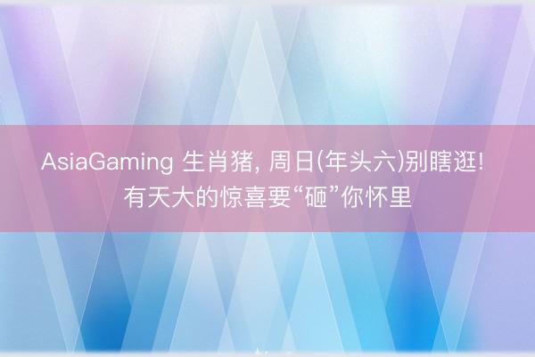 AsiaGaming 生肖猪， 周日(年头六)别瞎逛! 有天大的惊喜要“砸”你怀里