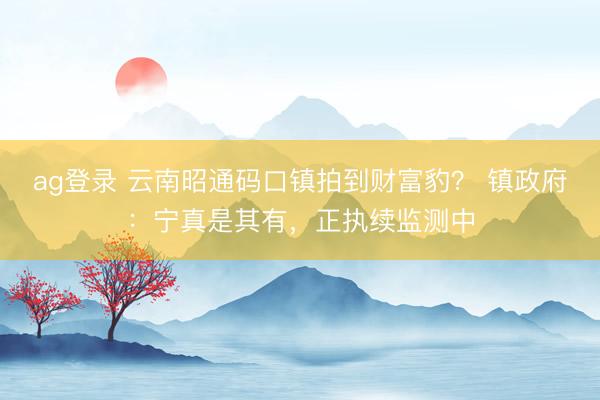 ag登录 云南昭通码口镇拍到财富豹？ 镇政府：宁真是其有，正执续监测中