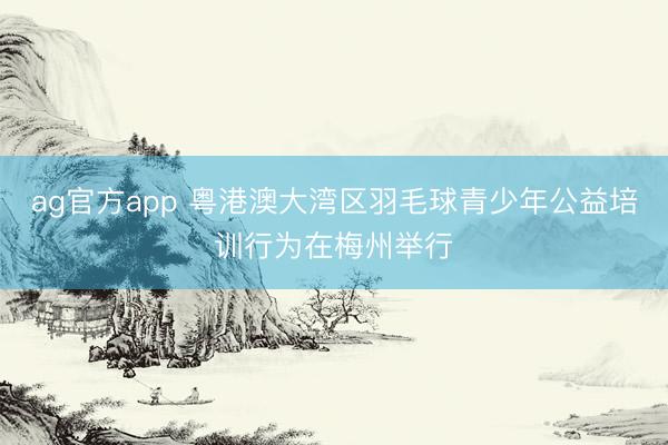 ag官方app 粤港澳大湾区羽毛球青少年公益培训行为在梅州举行