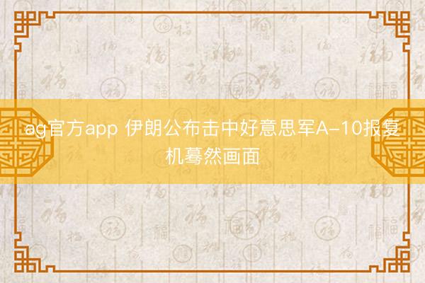 ag官方app 伊朗公布击中好意思军A-10报复机蓦然画面