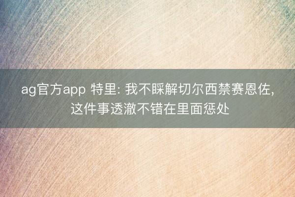 ag官方app 特里: 我不睬解切尔西禁赛恩佐， 这件事透澈不错在里面惩处