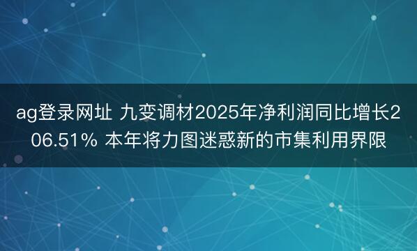 ag登录网址 九变调材2025年净利润同比增长206.51% 本年将力图迷惑新的市集利用界限